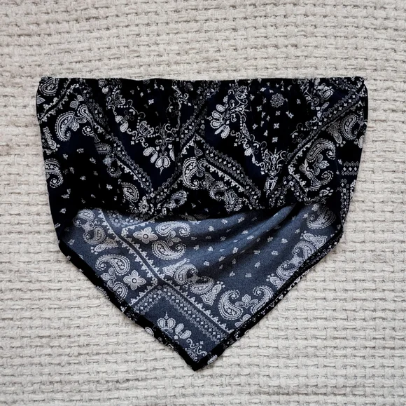 Western Crop Top - Picture 4 of 4